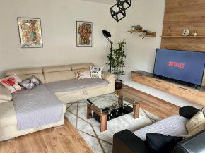 Luxury City Center Apartment